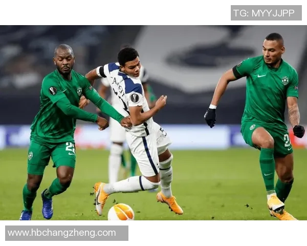 卢多戈雷茨与费伦盖的精彩对决分析与赛前预测